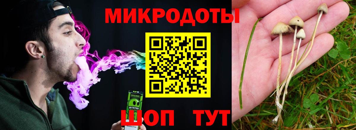 Малоярославец  Псилоцибиновые грибы MAGIC MUSHROOMS  Вход с VPN  купить наркотик  Галлюциногенные грибы мицелий 
